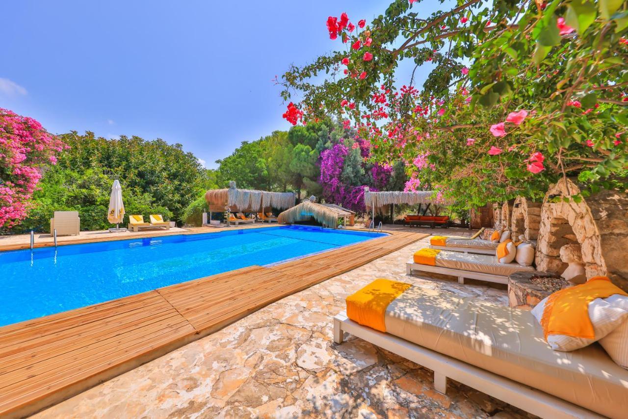 La Salvia Hotel كاس المظهر الخارجي الصورة
