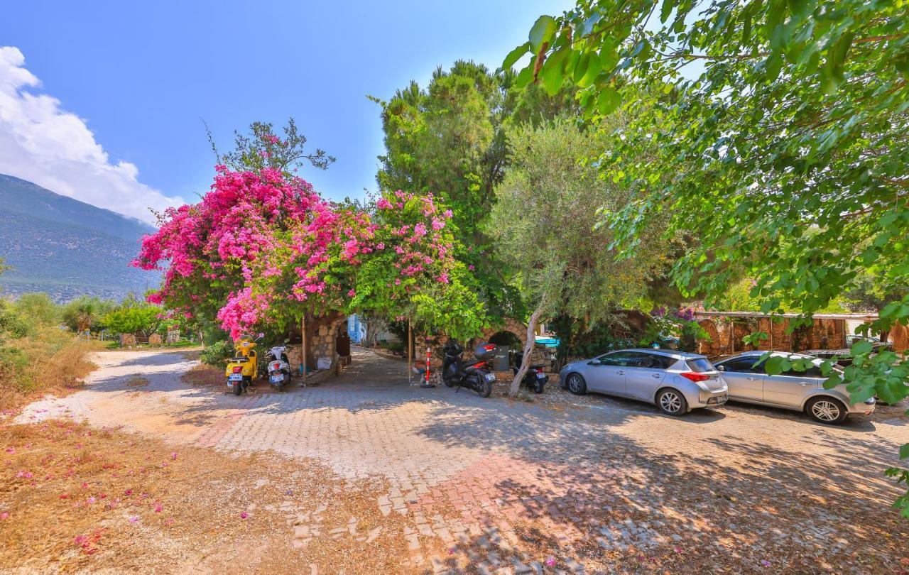 La Salvia Hotel كاس المظهر الخارجي الصورة